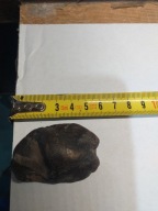 meteoryt mały chondryt słabo przyciąga magnes