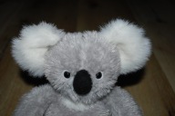 pluszak maskotka miś Koala od Schaffer