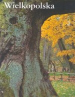 WIELKOPOLSKA ALBUM Piotr Skórnicki BOSZ
