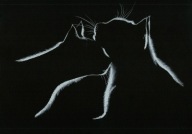 KOT KOTEK koty - Rysunek obraz na prezent - A4 ORYGINAŁ