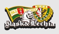 Zestaw 7 magnesów 3D – Kluby Piłkarskie | Druk 3D | 9 cm
