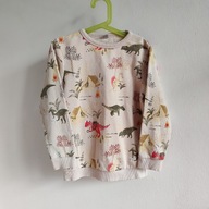 Ciepła bluza dresowa w dinusie TU 116 122 dinozaury dinoprint (240)