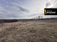 Działka, Racibórz, Raciborski, 9652 m²