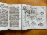 Erich Pontoppidan - Próba historii naturalnej Norwegii - Kopenhaga 1754