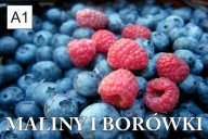 BANER SPRZEDAŻ BORÓWKI BORÓWKA MALINY 100x50 A1