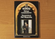 Sklepy cynamonowe. Sanatorium pod Klepsydrą - Bruno Schulz