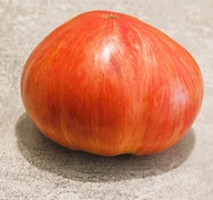 Pomidor Jazz (130) nasiona kolekcjonerskie