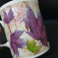 Kubek z porcelany kostnej Bone China – Rose of England, Anglia