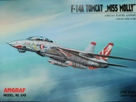 Angraf 249: samolot F-14A TOMCAT "MISS MOLLY"