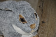 pluszak maskotka fajny duży szary królik króliczek zając