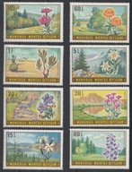 MONGOLIA - KWIATY POLNE - CZYSTE **