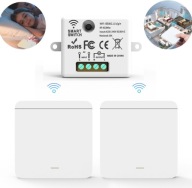 Bezprzewodowy włącznik światła z 2 montowanymi na ścianie RF 433MHz 10A