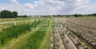 Działka, Falenty Nowe, Raszyn, Pruszkowski, 950 m²