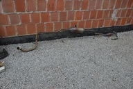 tłumik rura wydechowa z katalizatorem toyota yaris 1.0 B 2016