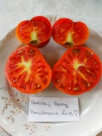 Nasiona Pomidor Uralskij rannyj wczesny 40 dni nasiona kolekcjonerskie