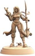 Shadowmaster Cursed Blade Assasyn Kultu Cienia Pinup F RPG Druk 3D NSFW