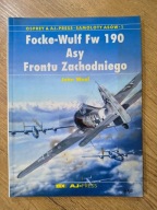 Focke-Wulf Fw 190 Asy Frontu Zachodniego K01861
