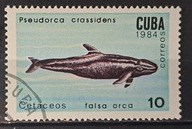 Ryby (kas) - luzak - do uzupełnień 13/7