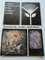 ZŁOCIENIE ASTRY ZIMOWITY