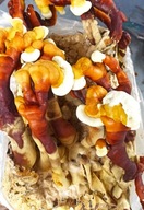 Reishi grzybnia. Gotowy zestaw