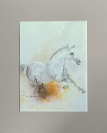 koń w biegu akwarela na papierze