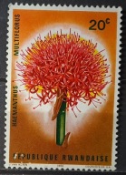 Rwanda (**) - luzak - do uzupełnień 22/20