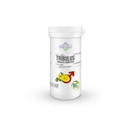 Suplement diety dla mężczyzn Soul-Farm Tribulus Terrestris 60 kapsułek