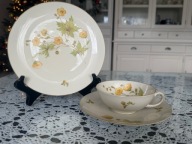 Reichenbach Carstens Porzellan kość słoniowa kwiaty zestaw śniadaniowy