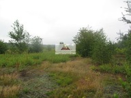 Działka, Kazimierz Dolny, Puławski, 5900 m²