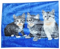 Koc Elway akryl 160 cm x 210 cm koty niebieskie