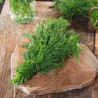 Koper ogrodowy Monarch - odrastający - nasiona - duża paczka XXL 10g ***