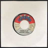 WEINSTEIN & STROLL Aunt Birdie - Looking.. / SP Vinyl z 1970 - bardzo dobra