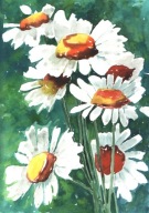 =KWIACIARNIA= Obraz =martwa natura=KWIATY=akwarela=