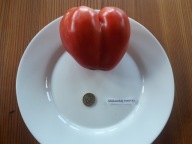 Pomidor Abakanski Rozovyj malinowe bawole serce nasiona kolekcjonerskie