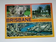 Australia - Brisbane stolica stanu Queensland i misie koala - pocztówka