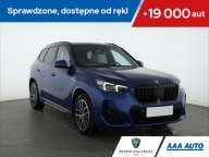 BMW X1 sDrive18i, Salon Polska, Serwis ASO