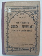 JAK CHORUJĄ ZBOŻA I ZIEMNIAKI WARSZAWA 1921