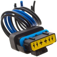 Wtyczka Modułu Podnośnika Szyby do Renault Megane Scenic II Clio Espace