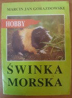 Świnka morska.Hobby M.j.Gorazdowski