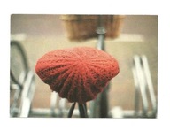 Pocztówka - Siodełko rowerowe w czerwonym berecie