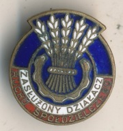 Zasłużony Działacz Ruchu Spółdzielczego wym.23 X 21 mmna agrafce.