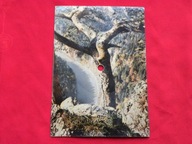 HAPPY END nadaj do mnie sos POCZTÓWKA DŹWIĘKOWA pieniny