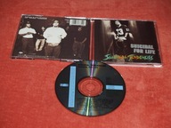 Suicidal Tendencies The Art Of Rebellion 1994