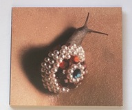 DOT HACKER - HOW'S YOUR PROCESS? CD JOSH KLINGHOFFER RED HOT CHILI PEPPERS