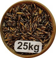 Owies Czarny 25kg, 2025r