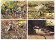 05-MC37-Wyspy Św.Heleny- WWF,1993-Ptaki-Siewki