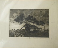 Stary dom i powiewające drzewa Stara litografia