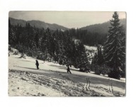 Krynica - Na Górze Parkowej