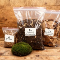 Zestaw startowy średni (isopody, wije, chrząszcze, skoczogonki)