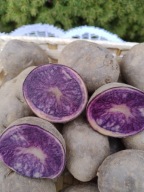 FIOLETOWE, ZIEMNIAKI TRUFLOWE PROVITA, ZDROWE, 2Kg